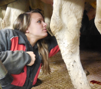 La MFR de Pleyben forme aux métiers de l'agriculture élevage